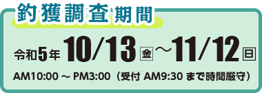 釣獲調査期間　令和5年10月13日（金）〜11月12日（日）　AM10：00〜PM3：00（受付　9：30まで時間厳守）